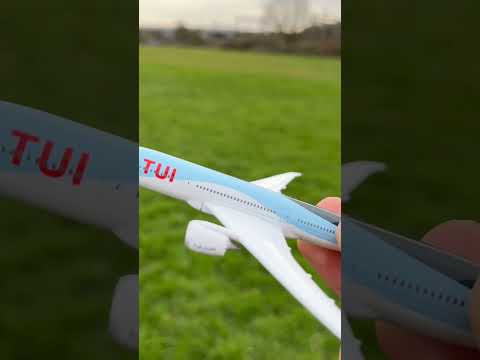 TUI Flight 805