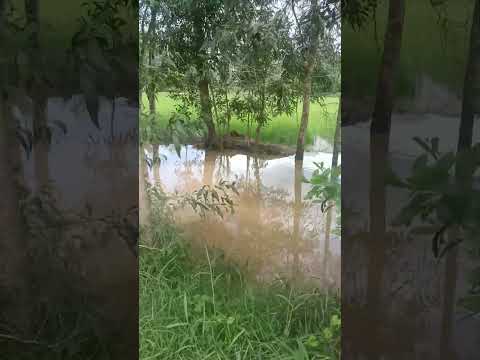 Flood Has Arrived #flood #rainyseasons