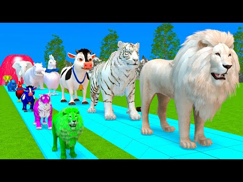 Paint Animals Duck,Tiger,Cow,Lion,Buffalo,Gorilla,Elephant,Dinosaur Fountain Crossing Animal Game Mo