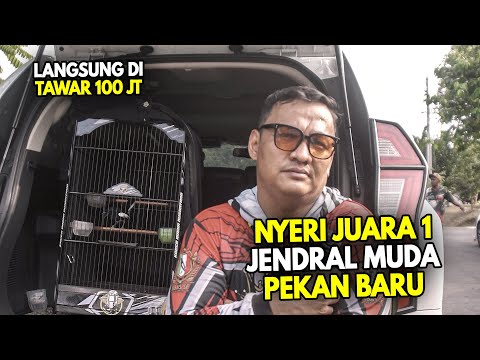 DI HUJANI PENAWARAN DADAKAN RATUSAN JUTA