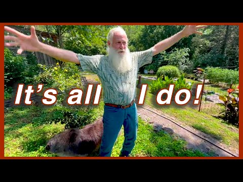 10 Signs YOU are a Garden Addict! Return to Bamboo Oasis!