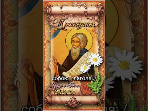 25 июля Прп. Михаил Мале́ин (962г)