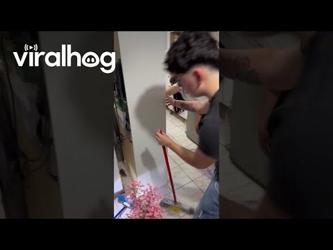 Failing to Catch a Mouse || ViralHog