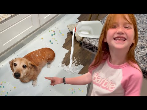 WE SPiLLED MiLK!!  Adleys morning cereal routine turns into FAMiLY MAYHEM & Niko turns into koopa!!