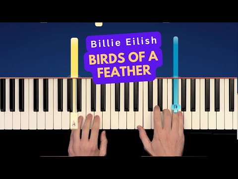 Billie Eilish - BIRDS OF A FEATHER - Easy Piano Tutorial