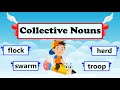Exploring Collective Nouns for Animals