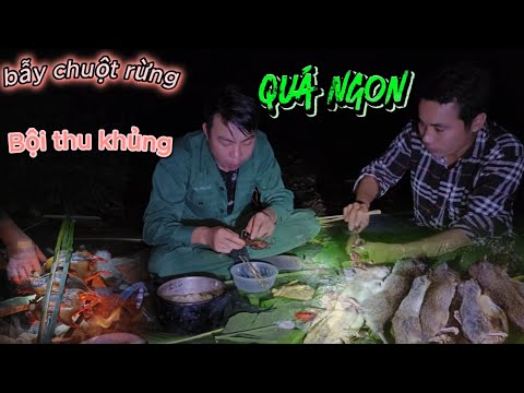 2 ngày đêm bẫy chuột rừng bội thu khủng #2 days and nights of trapping wild rats with a huge harvest