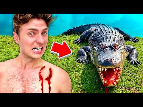 We Found An ALLIGATOR In Our Backyard!