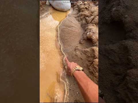 gold found in soil #shortsvideo