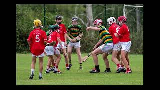 Mick Corbett Cup   Glen Rovers V Blarney GAA 20th August 2026