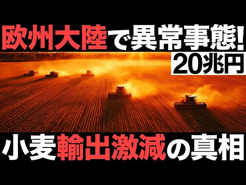 【衝撃】欧州大陸で異常事態！20兆円の中核産業！欧州最大の小麦大国がとんでもない事態に…【フランス】