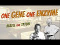 Beetle and Tatum's Genetic Discoveries