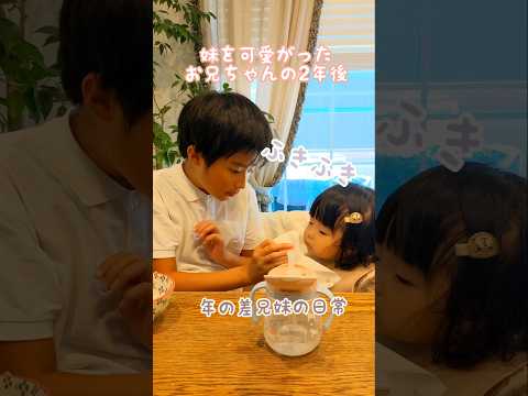 【年の差兄妹】妹を可愛がった結果 #ほのぼの #日常