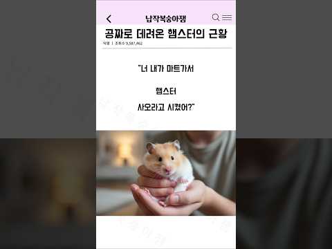 공짜로 햄스터 데려온 이유