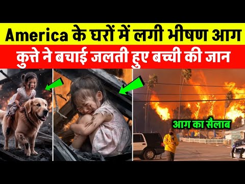 America के घरों में लगी आग कुत्ते ने बचाई जलती बच्ची की जान | America Los Angeles viral dog video