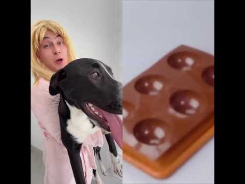 Text To Speech 😆 ASMR Cake Storytime @Federico Millan #tiktok #fypシ #shorts  #noflop #cake  #humor