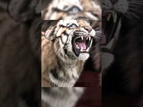 ماتت الأم فضطر إلى تربية ابنائها 😔 #shorts #viral #movie