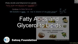 Fatty Acids and Glycerol to Lipids