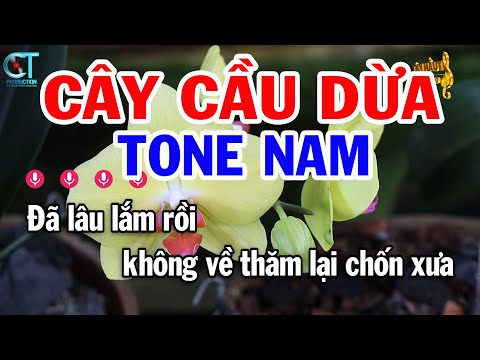 Karaoke Cây Cầu Dừa Tone Nam ( Dm ) Nhạc Sống Tuấn Kiệt