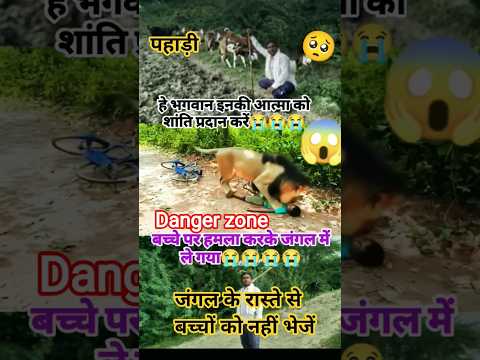 Bacche par kiya hamla tigar #tiger #attack #viral #yt #trend #sort #video #forest #bchetiya blossom2