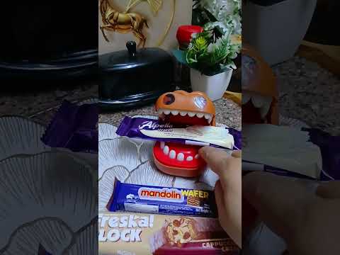 Little Crocs eat White Chocolate wafer #asmr #satisfying #shorts