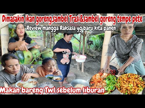 SAT SET DIMASAKIN MBA UMI SEBELUM LIBURAN‼️PAK APIK PANEN SINGKONG~ REVIEW MANGGA RAKSASA/JUMBO 😍