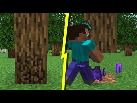 MINECRAFT ROBADO