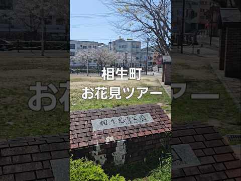 相生町お花見ツアー