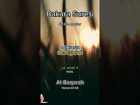 Bakara Suresi Meali 67-69.Ayetler l Al-Baqarah Verses 67-69