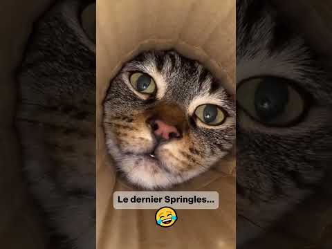 Quand tu veux la dernière chips du paquet... 😂