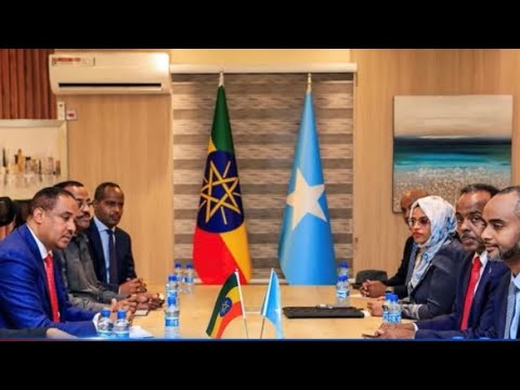 Maxay ahayd ulajeedadii ay wafdigii ethiopia ay ku yimaadeen magaalada Muqdisho