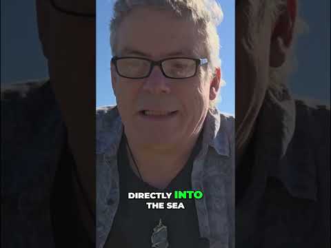 Ocean's Plastic Crisis: The Great Pacific Garbage Patch #shorts