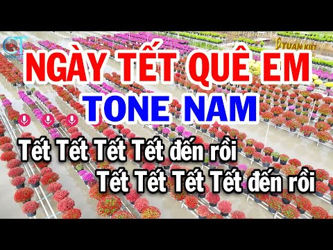 Karaoke Ngày Tết Quê Em Tone Nam ( Em ) Nhạc Xuân 2025 | Karaoke Tuấn Kiệt