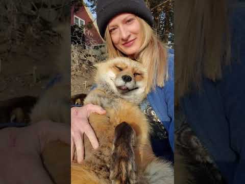 Loving Finnegan Fox