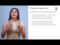 Perfiles y Expectativas de Clientes