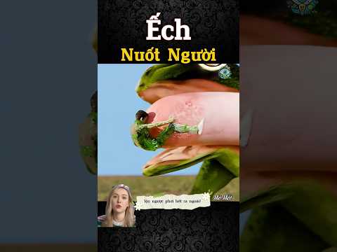 Ếch KHỔNG LỒ… Nuốt Trọn Người