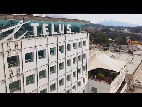 Welcome to TELUS  International