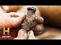 Excavation Team's Findings and Focus
