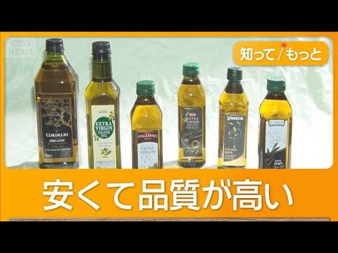 トルコ産オリーブオイルの特徴と日本での評判 サムネイル