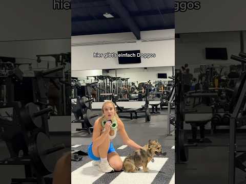 Hunde im Gym? ich glaube ich flippe aus…