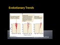 Evolutionary Trends and Concepts