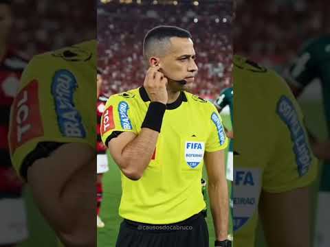 Sem Pix, sem ajuda kkk#fypage #verdao #palmeiras #flamengo #engraçado #ia