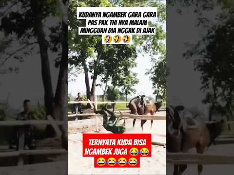 Kocak Kudanya Ngambek gara gara nggak diajak malam mingguan sama Pak TNI nya ๐คฃ๐คฃ๐คฃ #videolu #videolucu