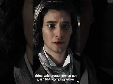 Betrayals in Harry Potter ~ #harrypotter #marauders #betrayal #sad #wizard #witch #shorts #fyp #edit