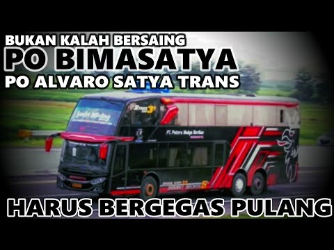 NASIB PO ALVARO SATYA TRANS & PO BIMASATYA‼️INILAH KISAH MEREKA...