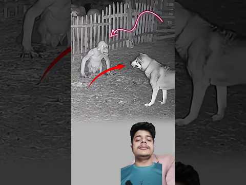 Mind-blowing Gadgets and tools Revealed 🚀 #short #Gadgets 168