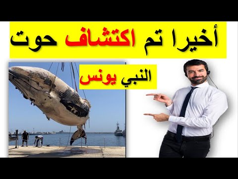 اخيرا اكتشاف 🤣👈 حوت سيدنا يونس😮👈  حي يرزق يثبت صحه قول القران في سوره القلم الجزء الرابع (ظاهري)