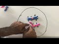 Meiosis Concepts and Terminology
