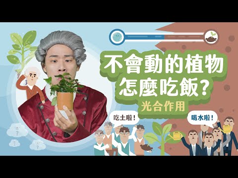 你吃牛、牛吃草、草吃...草到底吃什麼？！(光合作用)【LIS科學史】 - YouTube