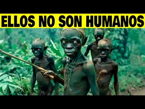 ¡17 Descubrimientos Terroríficos En El Congo Que Aterrorizaron Al Mundo Entero! 😨